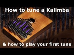 Kalimba Comment accorder un kalimba et jouer votre première mélodie