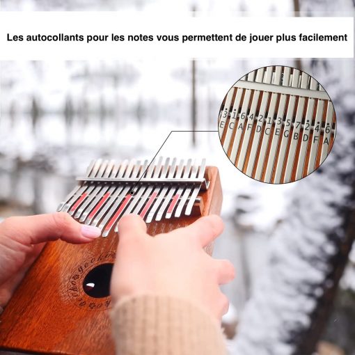 [Kit Complet] Kalimba Gecko avec Housse rigide - 17 Notes en Acajou - Acheter Kalimba artisanal - Thekalimba ❤️️