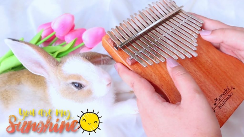 You Are My Sunshine ☀️ | Kalimba Cover with Tabs ♡
